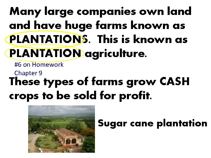 Many large companies own land have huge farms known as PLANTATIONS. This is known