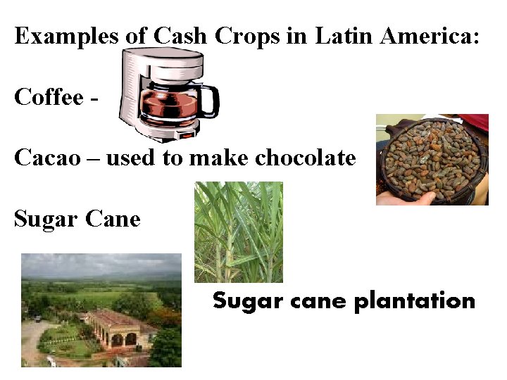 Examples of Cash Crops in Latin America: Coffee Cacao – used to make chocolate