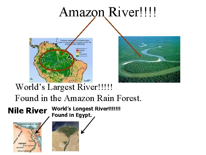 Amazon River!!!! World’s Largest River!!!!! Found in the Amazon Rain Forest. Nile River World’s