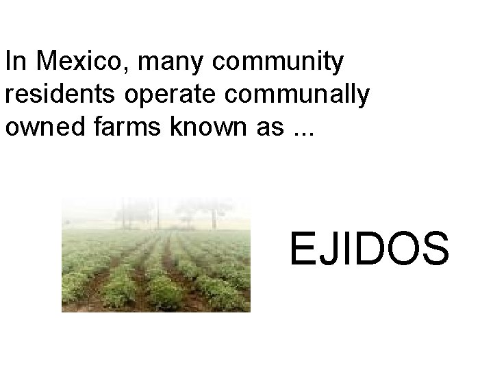 In Mexico, many community residents operate communally owned farms known as. . . EJIDOS