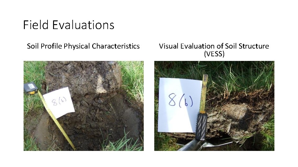 Field Evaluations Soil Profile Physical Characteristics Visual Evaluation of Soil Structure (VESS) 