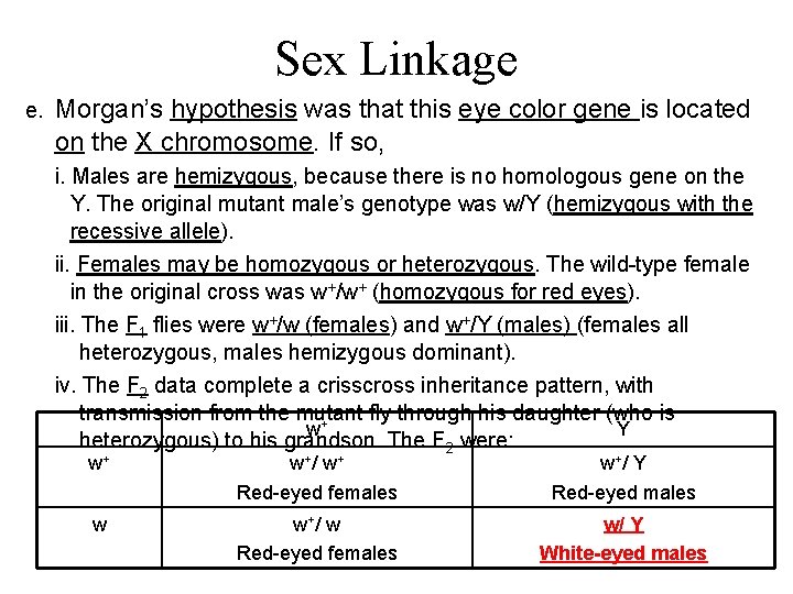 Sex Linkage e. Morgan’s hypothesis was that this eye color gene is located on