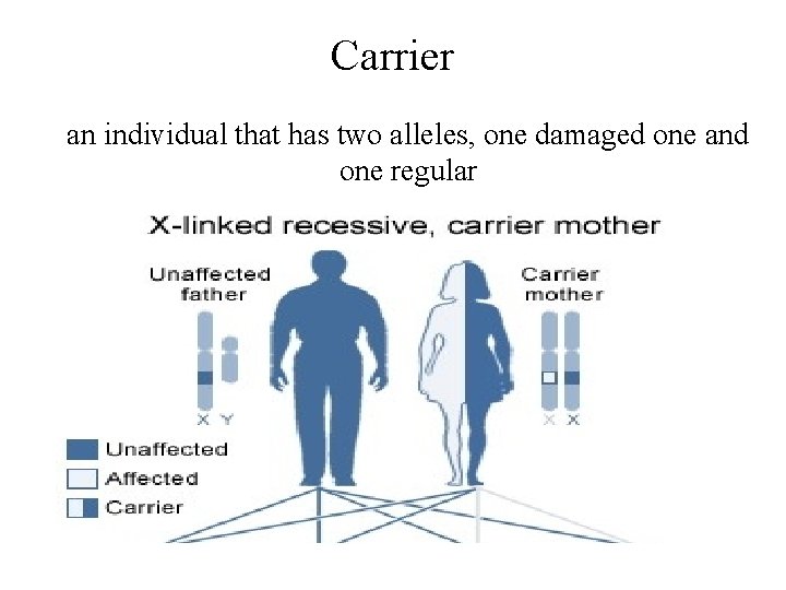 Carrier an individual that has two alleles, one damaged one and one regular 