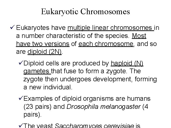 Eukaryotic Chromosomes ü Eukaryotes have multiple linear chromosomes in a number characteristic of the