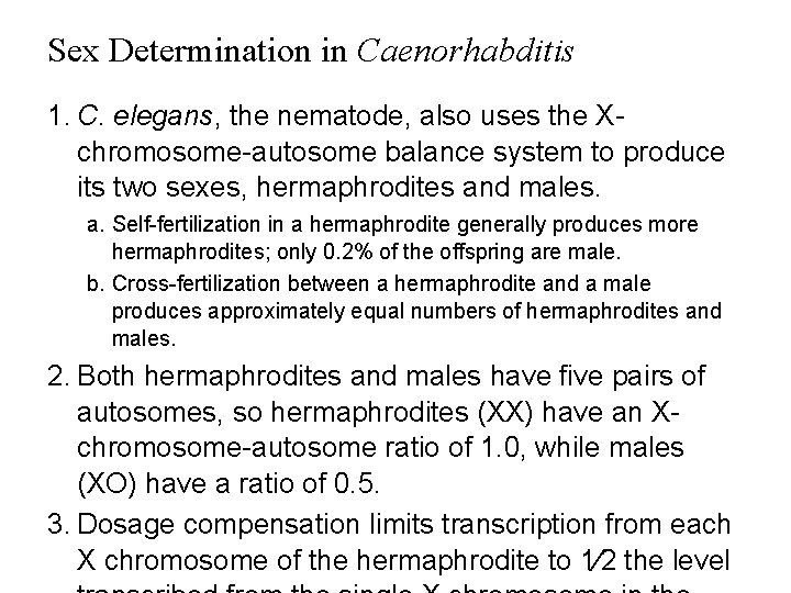 Sex Determination in Caenorhabditis 1. C. elegans, the nematode, also uses the Xchromosome-autosome balance