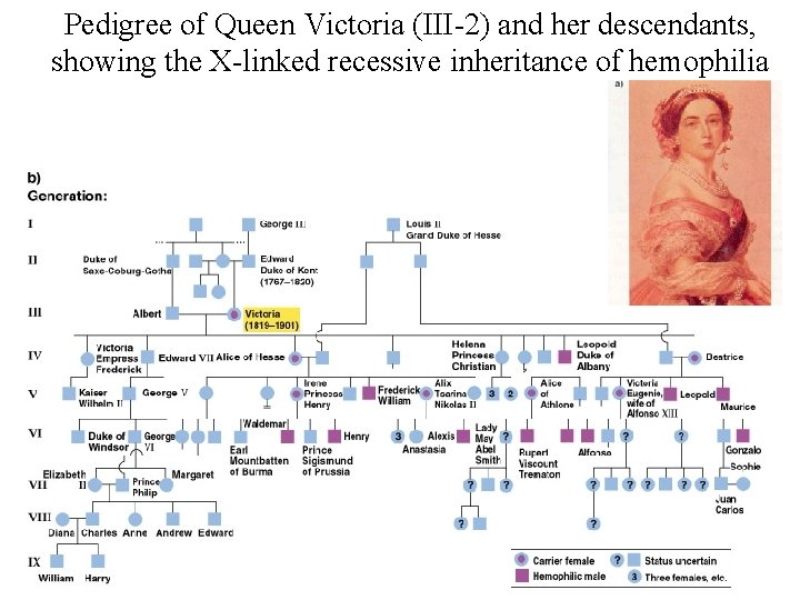 Pedigree of Queen Victoria (III-2) and her descendants, showing the X-linked recessive inheritance of