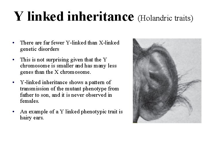Y linked inheritance (Holandric traits) • There are far fewer Y-linked than X-linked genetic