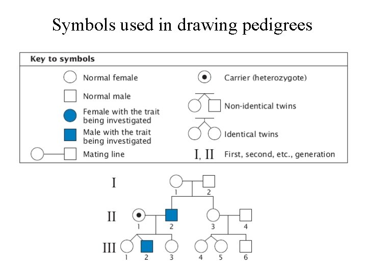 Symbols used in drawing pedigrees 