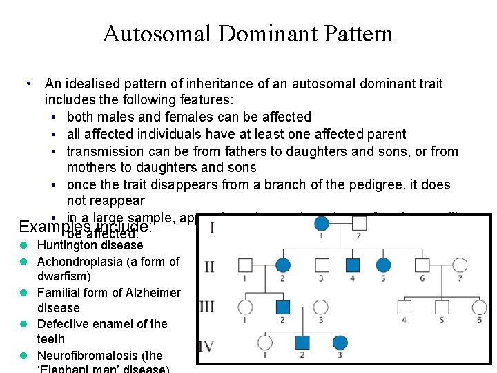 Autosomal Dominant Pattern • An idealised pattern of inheritance of an autosomal dominant trait