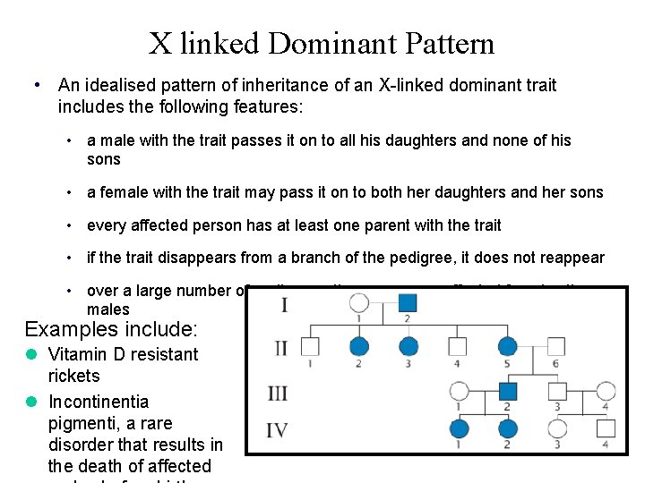 X linked Dominant Pattern • An idealised pattern of inheritance of an X-linked dominant