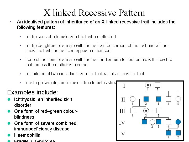 X linked Recessive Pattern • An idealised pattern of inheritance of an X-linked recessive