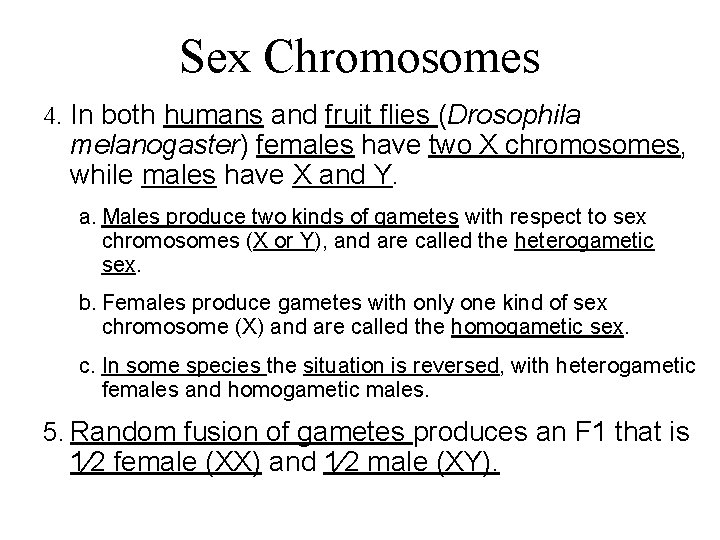 Sex Chromosomes 4. In both humans and fruit flies (Drosophila melanogaster) females have two