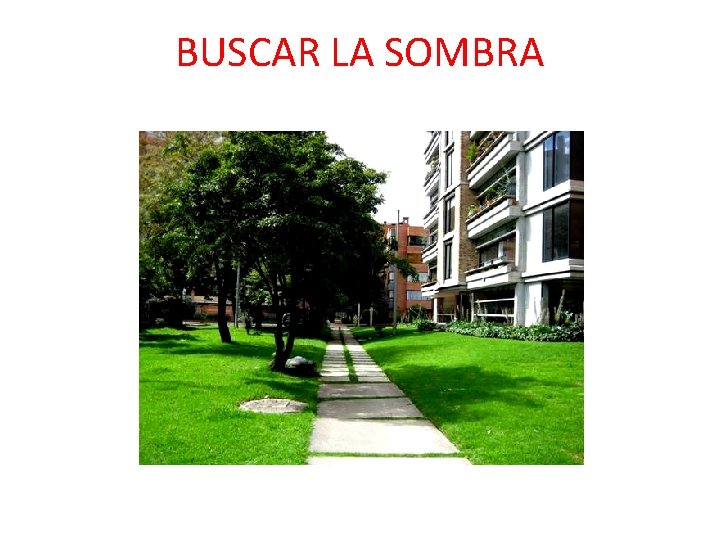 BUSCAR LA SOMBRA BUSCAR LA SOMBRA