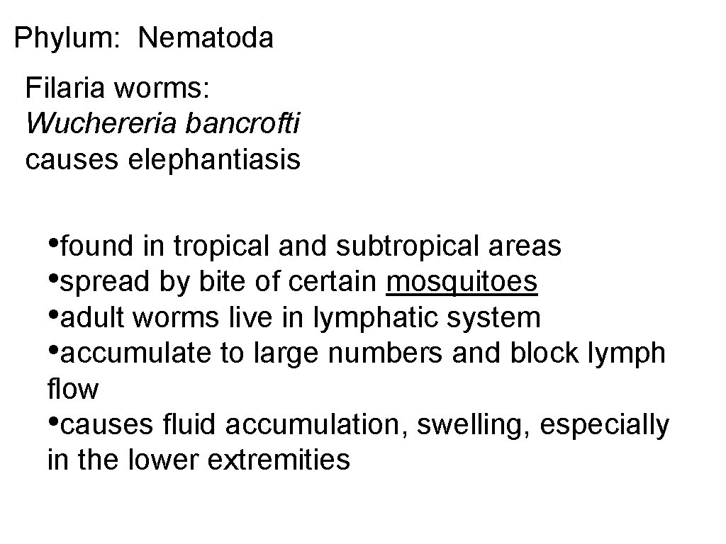 Phylum: Nematoda Filaria worms: Wuchereria bancrofti causes elephantiasis • found in tropical and subtropical