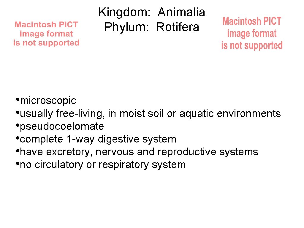 Kingdom: Animalia Phylum: Rotifera • microscopic • usually free-living, in moist soil or aquatic