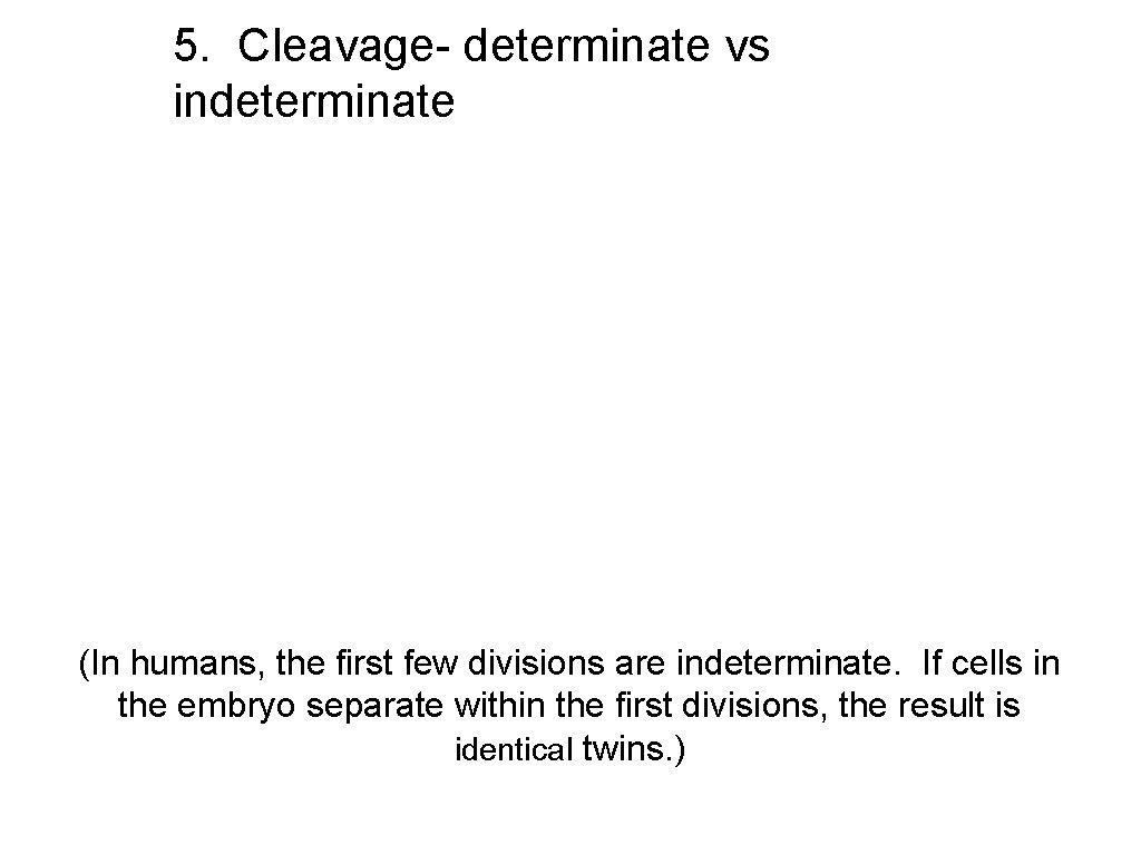 5. Cleavage- determinate vs indeterminate (In humans, the first few divisions are indeterminate. If