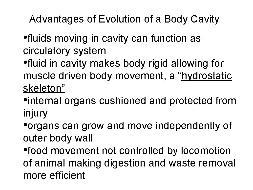 Advantages of Evolution of a Body Cavity • fluids moving in cavity can function