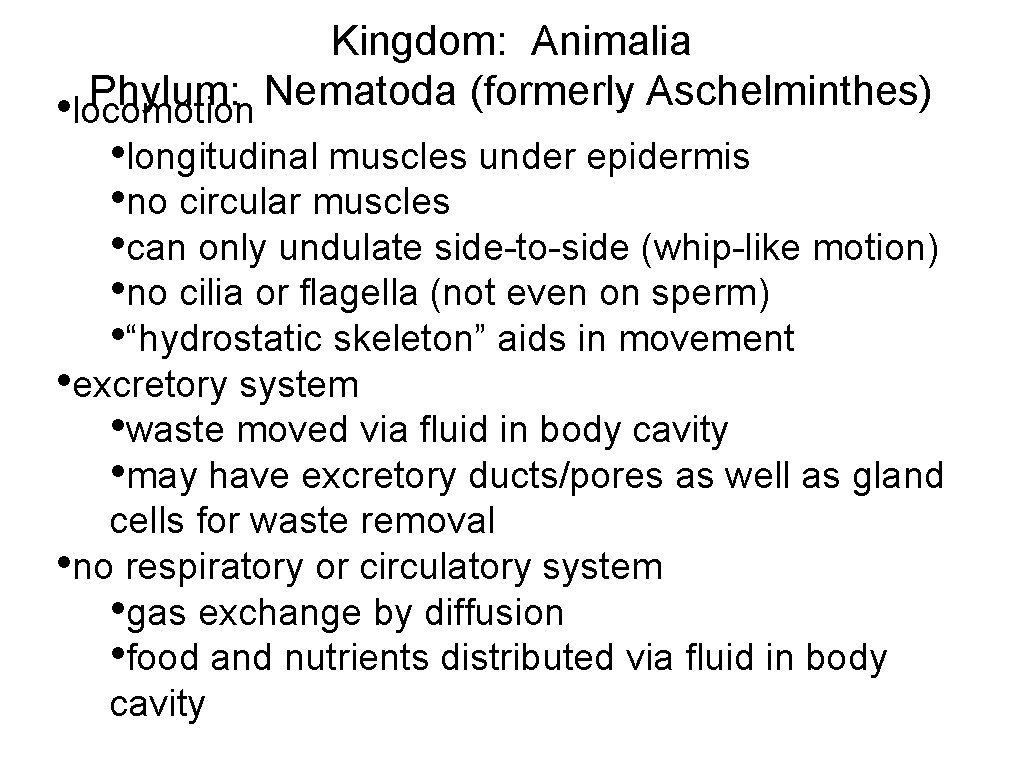 Kingdom: Animalia Phylum: Nematoda (formerly Aschelminthes) • locomotion • longitudinal muscles under epidermis •