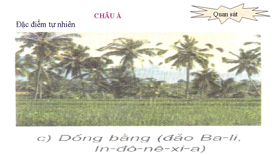 CH U Á Đặc điểm tự nhiên Quan sát 