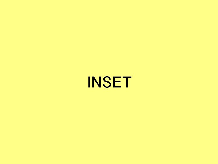INSET INSET