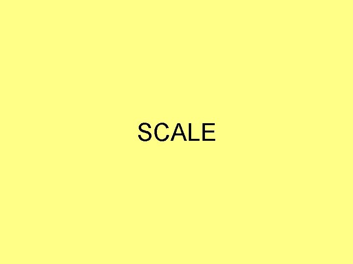 SCALE SCALE