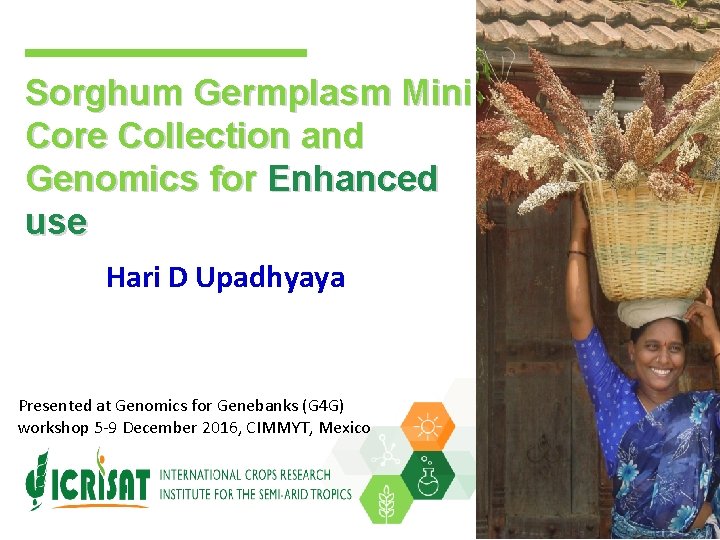 Sorghum Germplasm Mini Core Collection and Genomics for Enhanced use Hari D Upadhyaya Presented