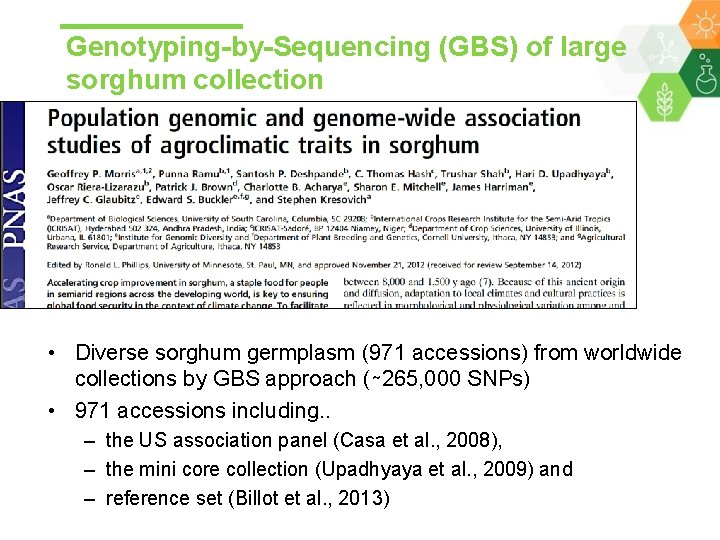 Genotyping-by-Sequencing (GBS) of large sorghum collection • Diverse sorghum germplasm (971 accessions) from worldwide