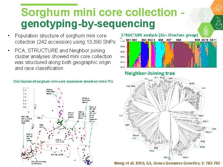 Sorghum mini core collection - genotyping-by-sequencing • Population structure of sorghum mini core collection