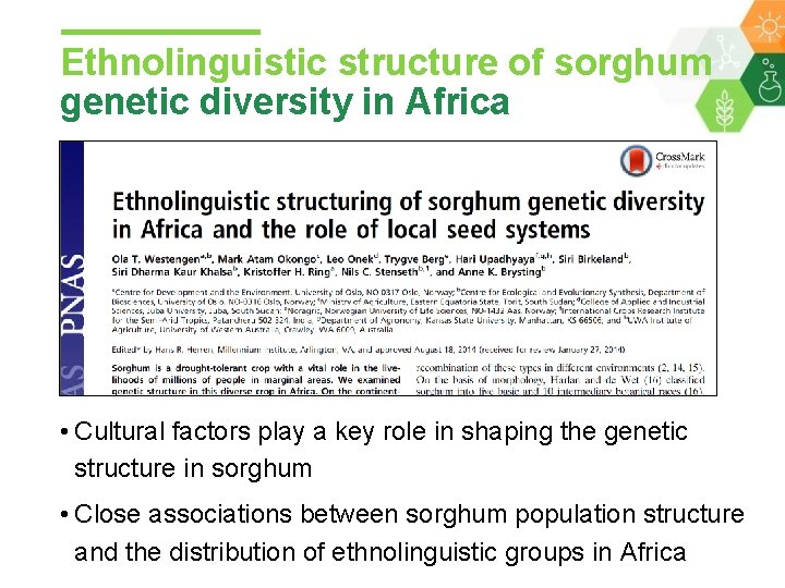 Ethnolinguistic structure of sorghum genetic diversity in Africa • Cultural factors play a key