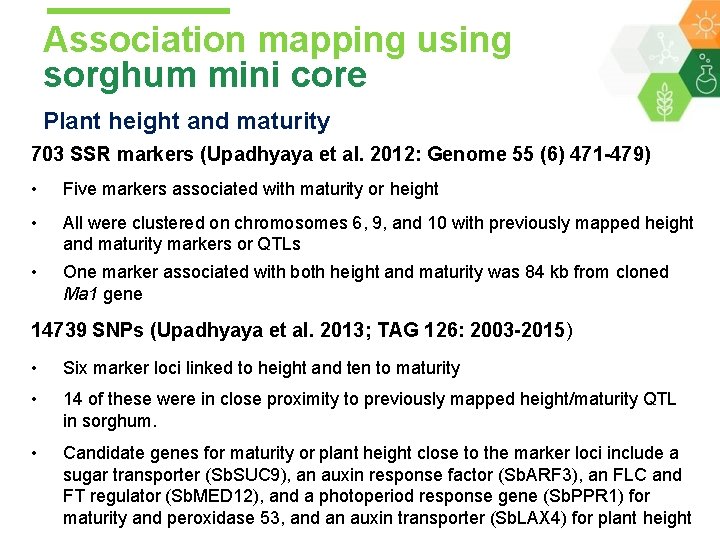 Association mapping using sorghum mini core Plant height and maturity 703 SSR markers (Upadhyaya