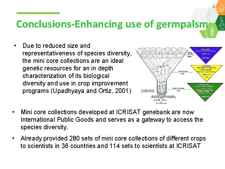 Conclusions-Enhancing use of germpalsm • Due to reduced size and representativeness of species diversity,