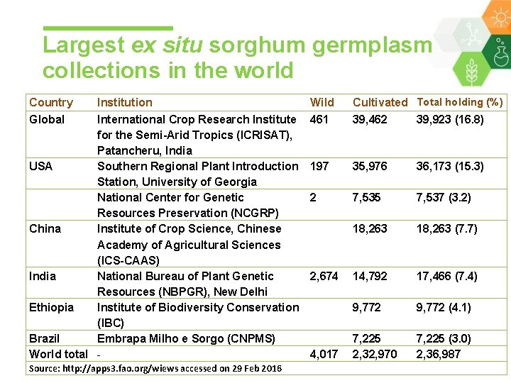 Largest ex situ sorghum germplasm collections in the world Country Global Institution International Crop