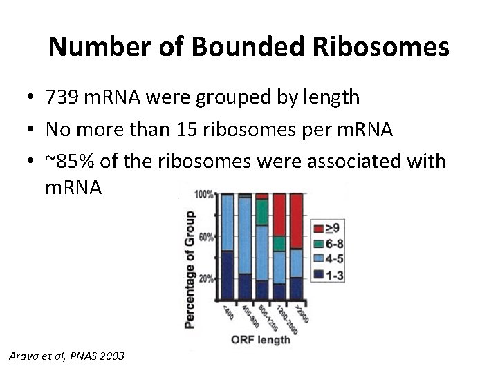 Number of Bounded Ribosomes • 739 m. RNA were grouped by length • No