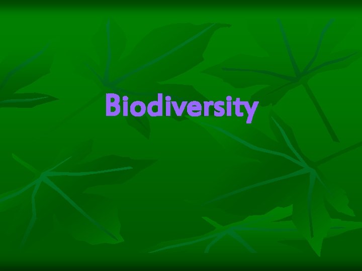 Biodiversity 