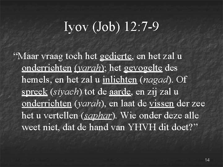 Iyov (Job) 12: 7 -9 “Maar vraag toch het gedierte, en het zal u