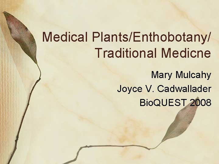 Medical Plants/Enthobotany/ Traditional Medicne Mary Mulcahy Joyce V. Cadwallader Bio. QUEST 2008 