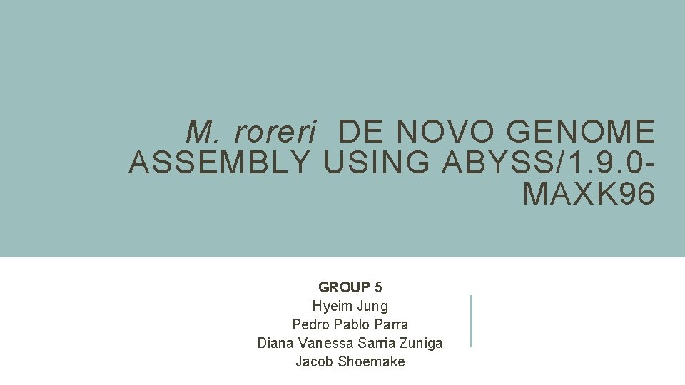 M. roreri DE NOVO GENOME ASSEMBLY USING ABYSS/1. 9. 0 MAXK 96 GROUP 5