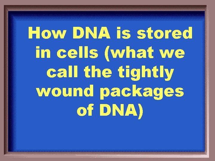 How DNA is stored in cells (what we call the tightly wound packages of