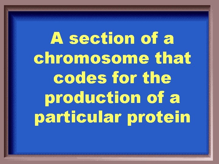 A section of a chromosome that codes for the production of a particular protein