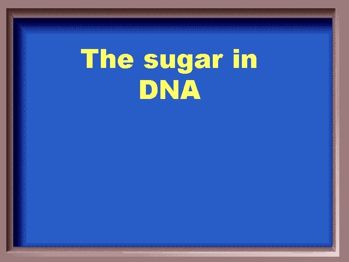 The sugar in DNA 