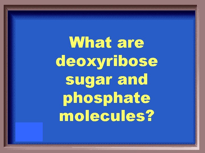 What are deoxyribose sugar and phosphate molecules? 