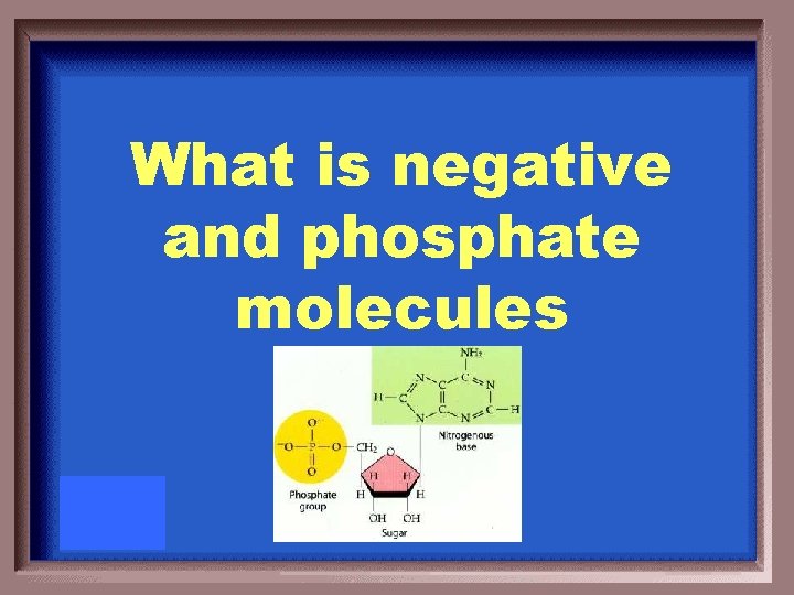 What is negative and phosphate molecules 