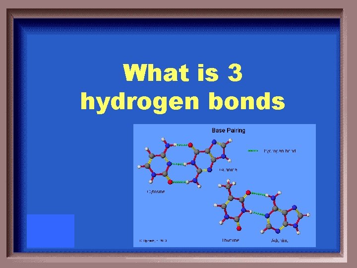 What is 3 hydrogen bonds 