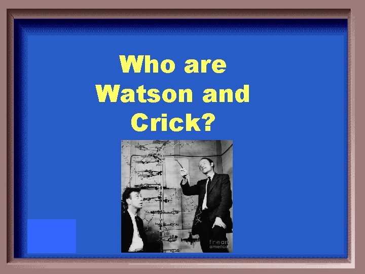 Who are Watson and Crick? 