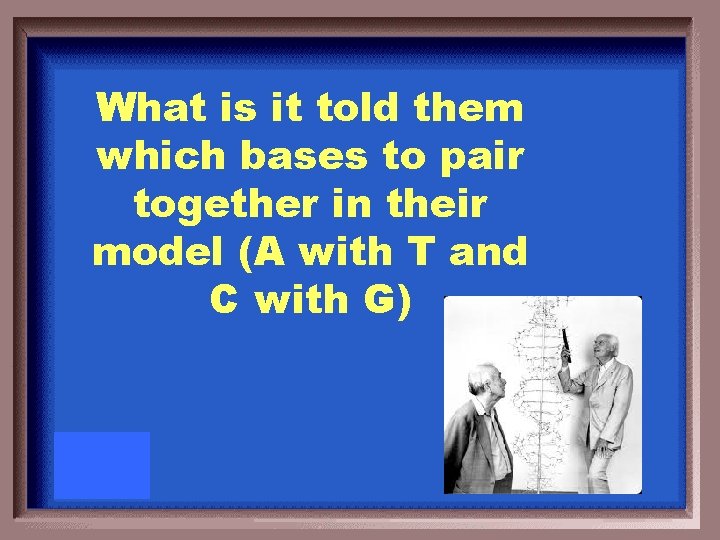 What is it told them which bases to pair together in their model (A