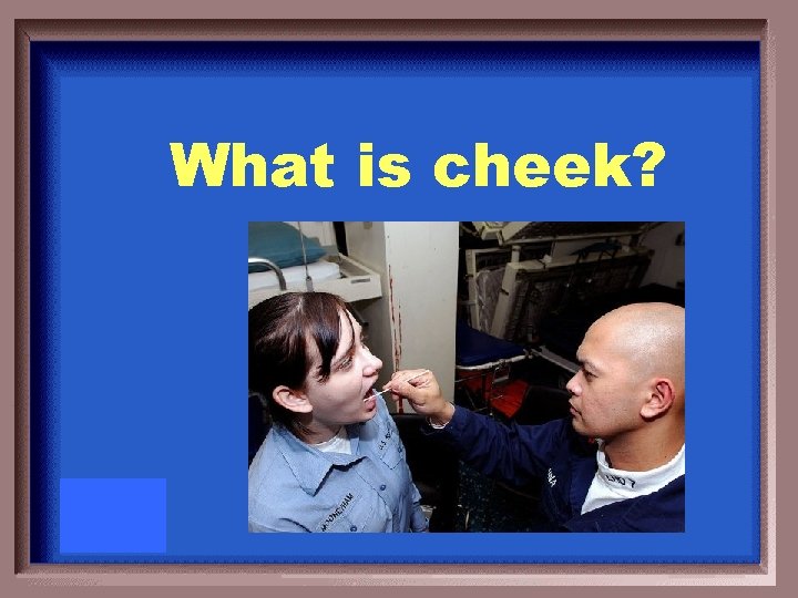 What is cheek? 