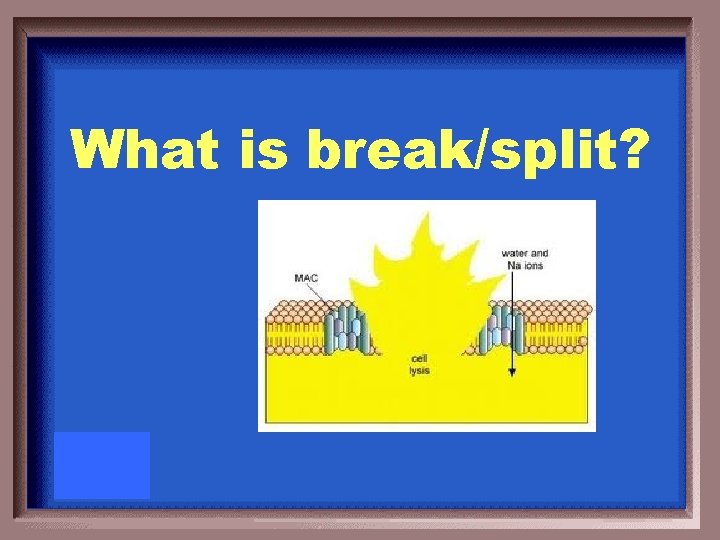 What is break/split? 