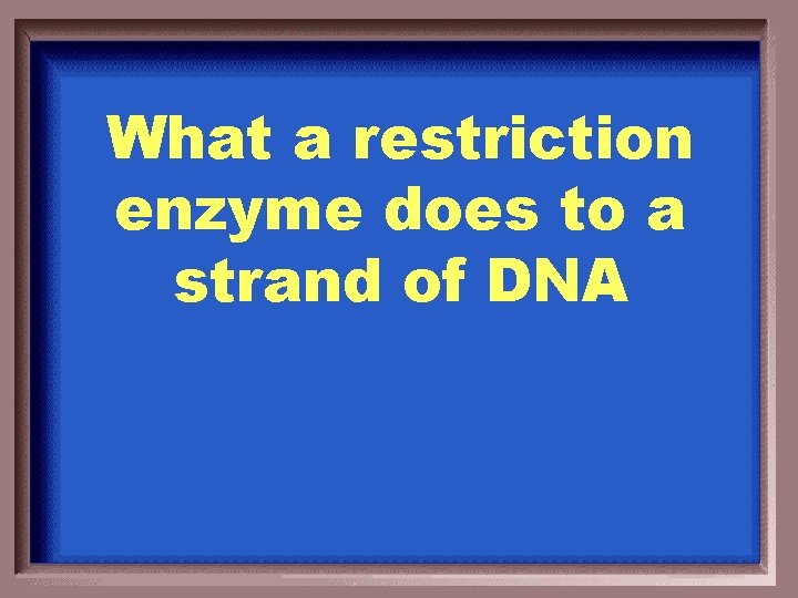 What a restriction enzyme does to a strand of DNA 