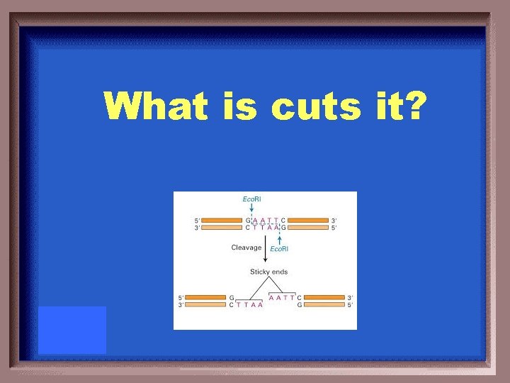 What is cuts it? 