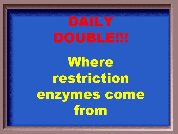 DAILY DOUBLE!!! Where restriction enzymes come from 